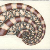 images/2025081301webbed.jpg